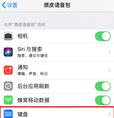 键盘语音怎么弄苹果版(iphone键盘的语音输入怎么开)-第2张图片-太平洋在线下载
