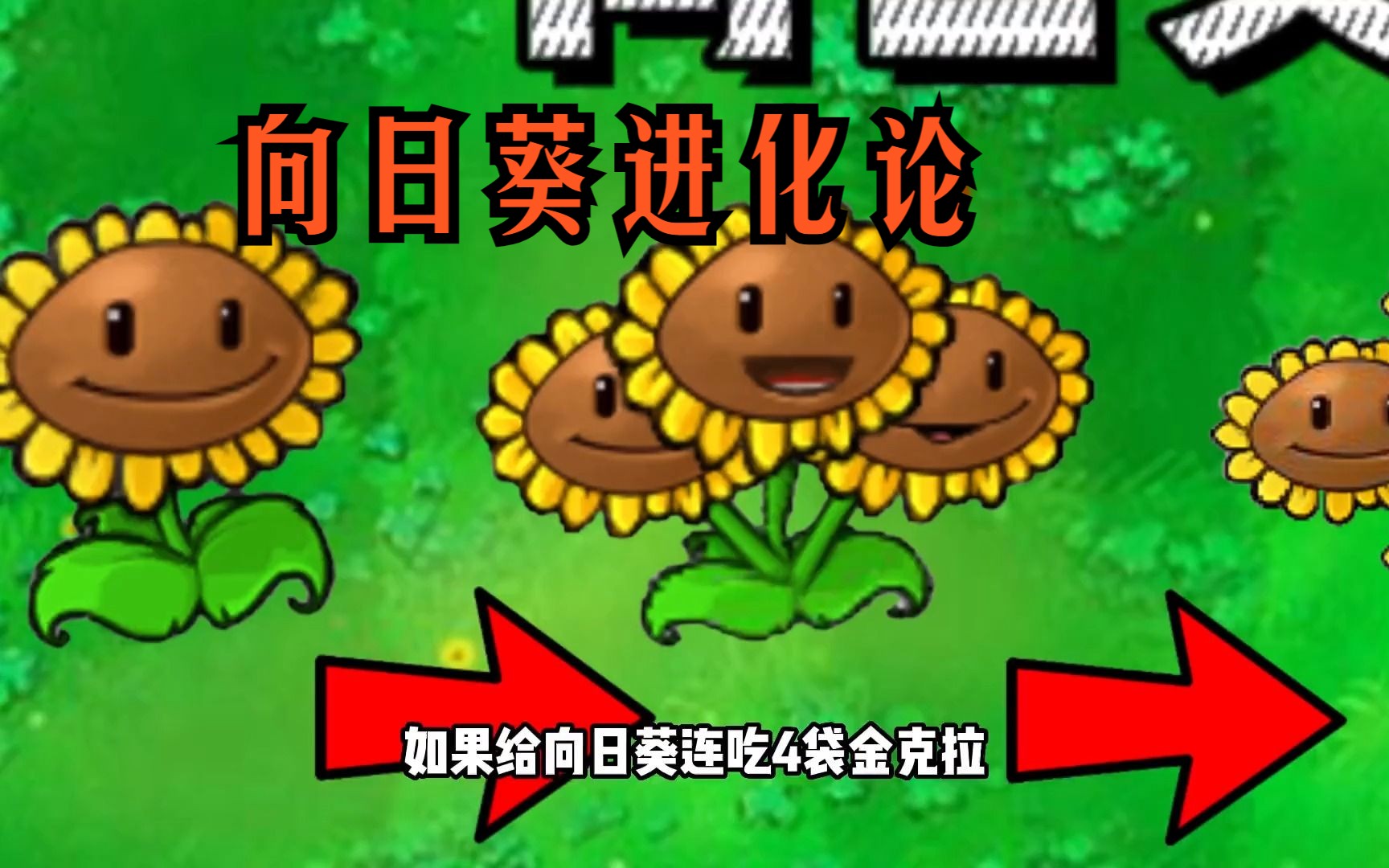 植物大战僵尸金克拉苹果版(植物大战僵尸金柯拉版)-第2张图片-太平洋在线下载