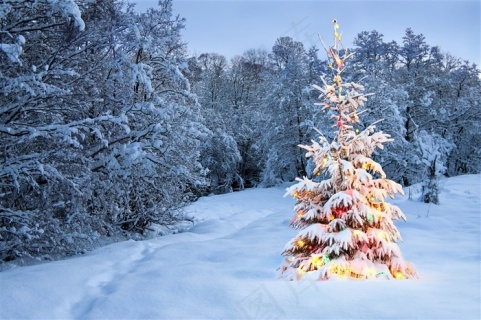 雪地地图手机版圣诞树动态圣诞树html编程代码-第2张图片-太平洋在线下载