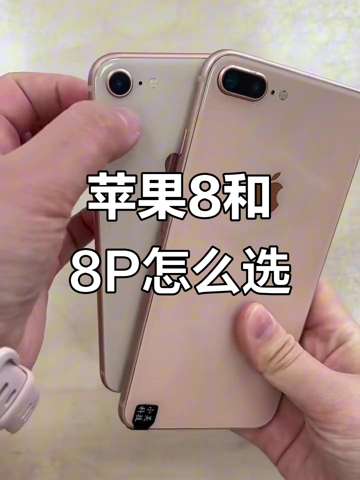 苹果8有联通版和移动版(苹果8移动联通版能用电信卡吗)-第8张图片-有道翻译官网