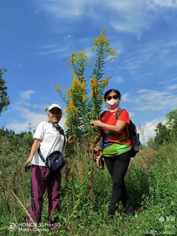 路行苹果版打卡(路行助手打卡会被单位发现吗)-第7张图片-有道翻译官网