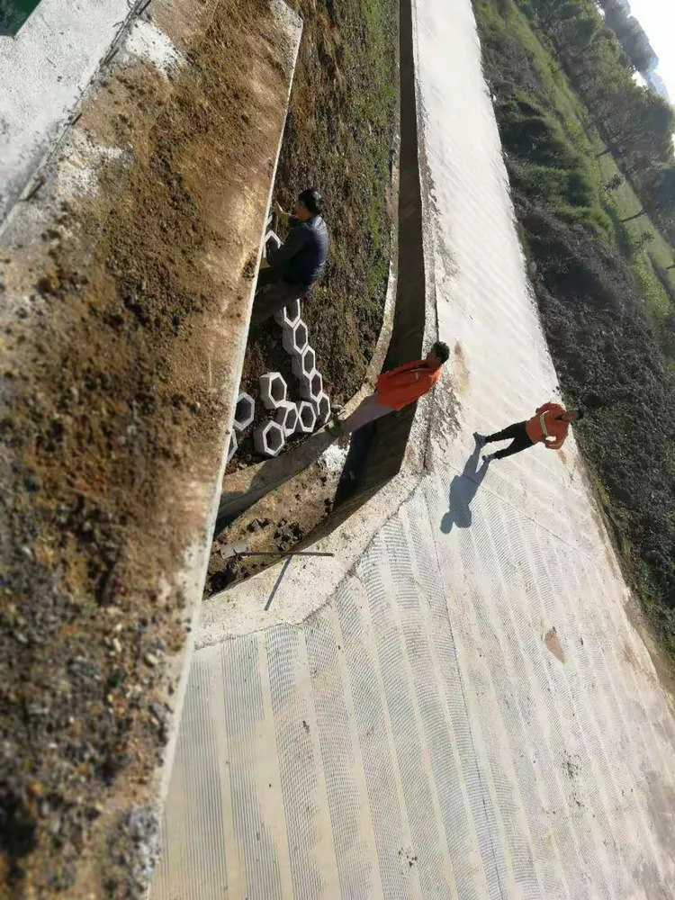 苹果版4扫尾挂的简单介绍-第3张图片-有道翻译官网