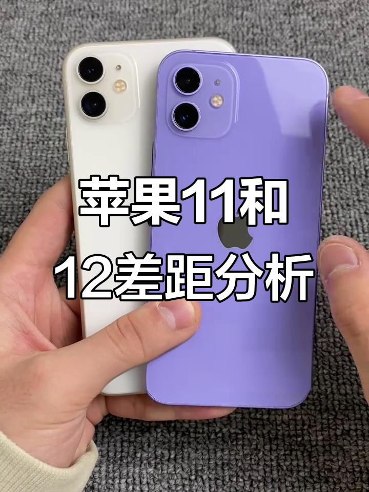 苹果十一简版和不简版(苹果11简版和原版是什么意思)-第2张图片-有道翻译官网 苹果十一简版和不简版(苹果11简版和原版是什么意思)-第2张图片-有道翻译官网