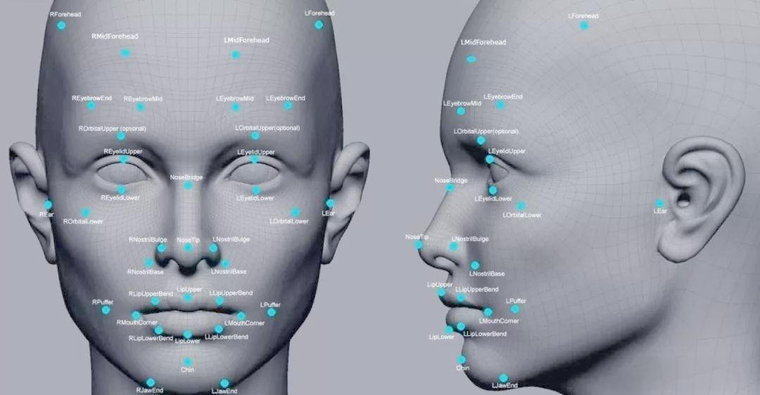 苹果版人脸识别技术(苹果版人脸识别技术怎么用)-第9张图片-有道翻译官网 苹果版人脸识别技术(苹果版人脸识别技术怎么用)-第9张图片-有道翻译官网