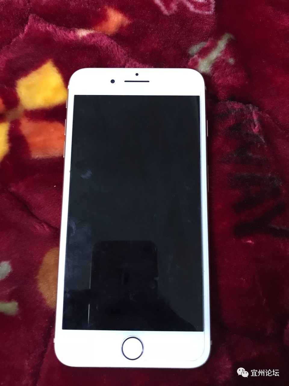 宜州论坛苹果手机版(宜州论坛网页版)-第13张图片-有道翻译官网 宜州论坛苹果手机版(宜州论坛网页版)-第13张图片-有道翻译官网