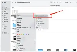 暗黑手续苹果版(ios12 暗黑)-第39张图片-有道翻译官网
