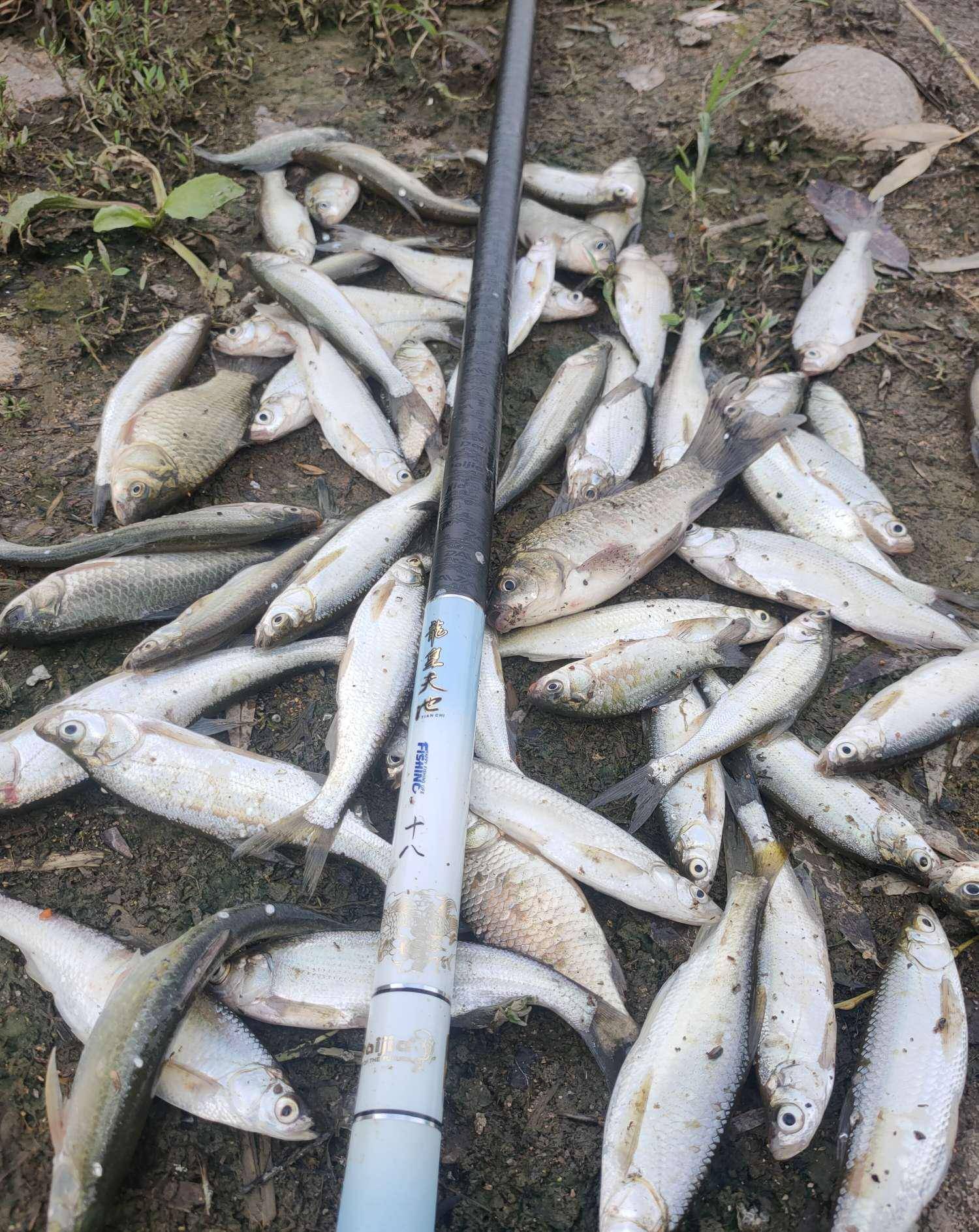 花花白条苹果版(花火app苹果版叫什么)-第33张图片-有道翻译官网 花花白条苹果版(花火app苹果版叫什么)-第33张图片-有道翻译官网