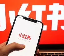 小红书下载安卓版苹果版(小红书下载安卓版苹果版安装)-第4张图片-有道翻译官网