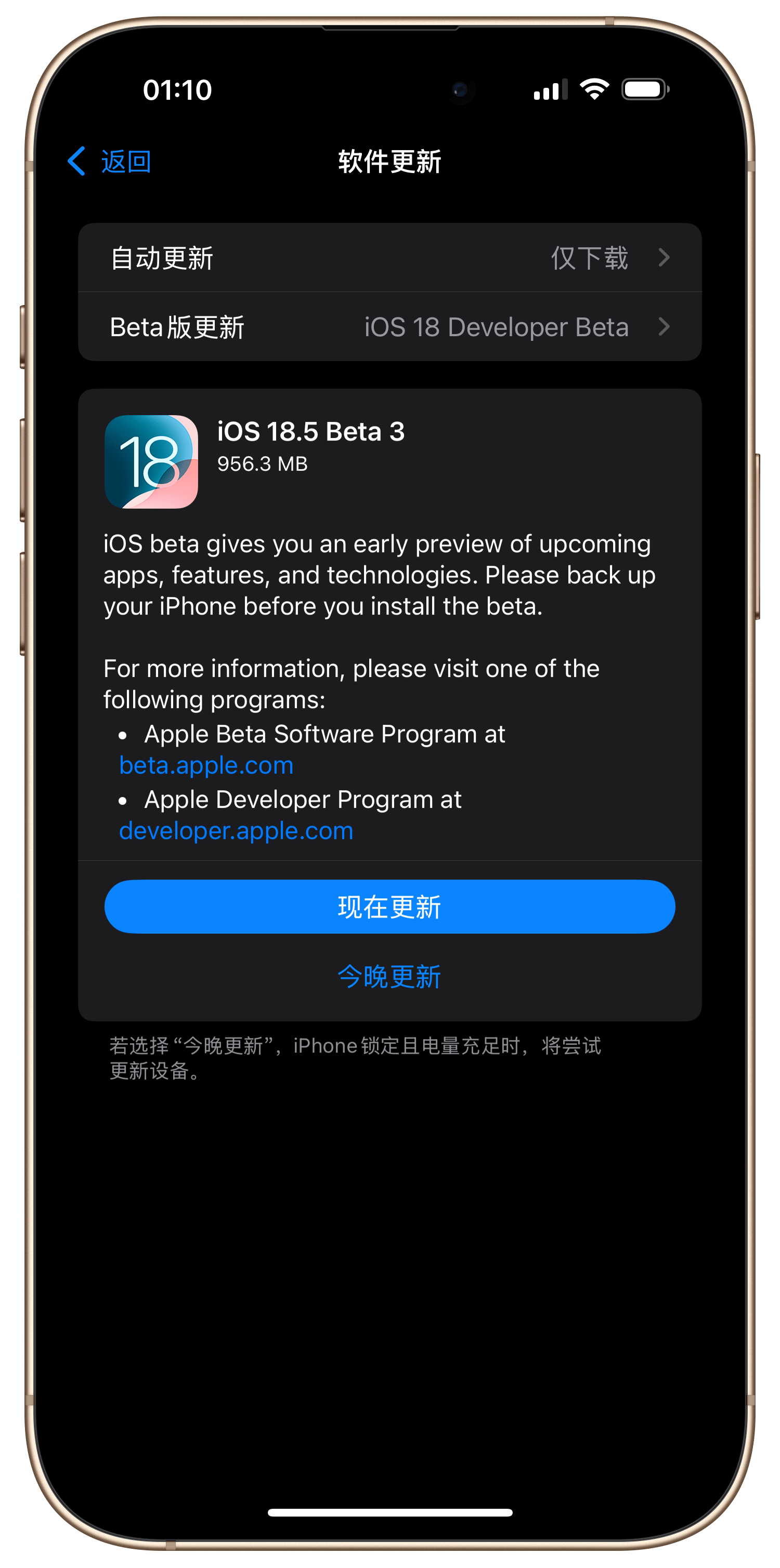 苹果beta版怎么更新到正式版的简单介绍-第13张图片-有道翻译官网