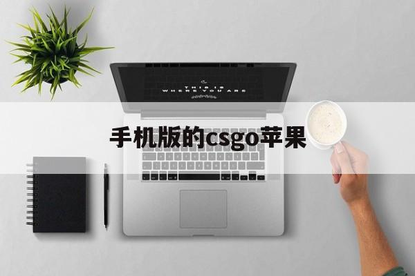 手机版的csgo苹果(csgo手游苹果能玩吗)-第9张图片-有道翻译官网