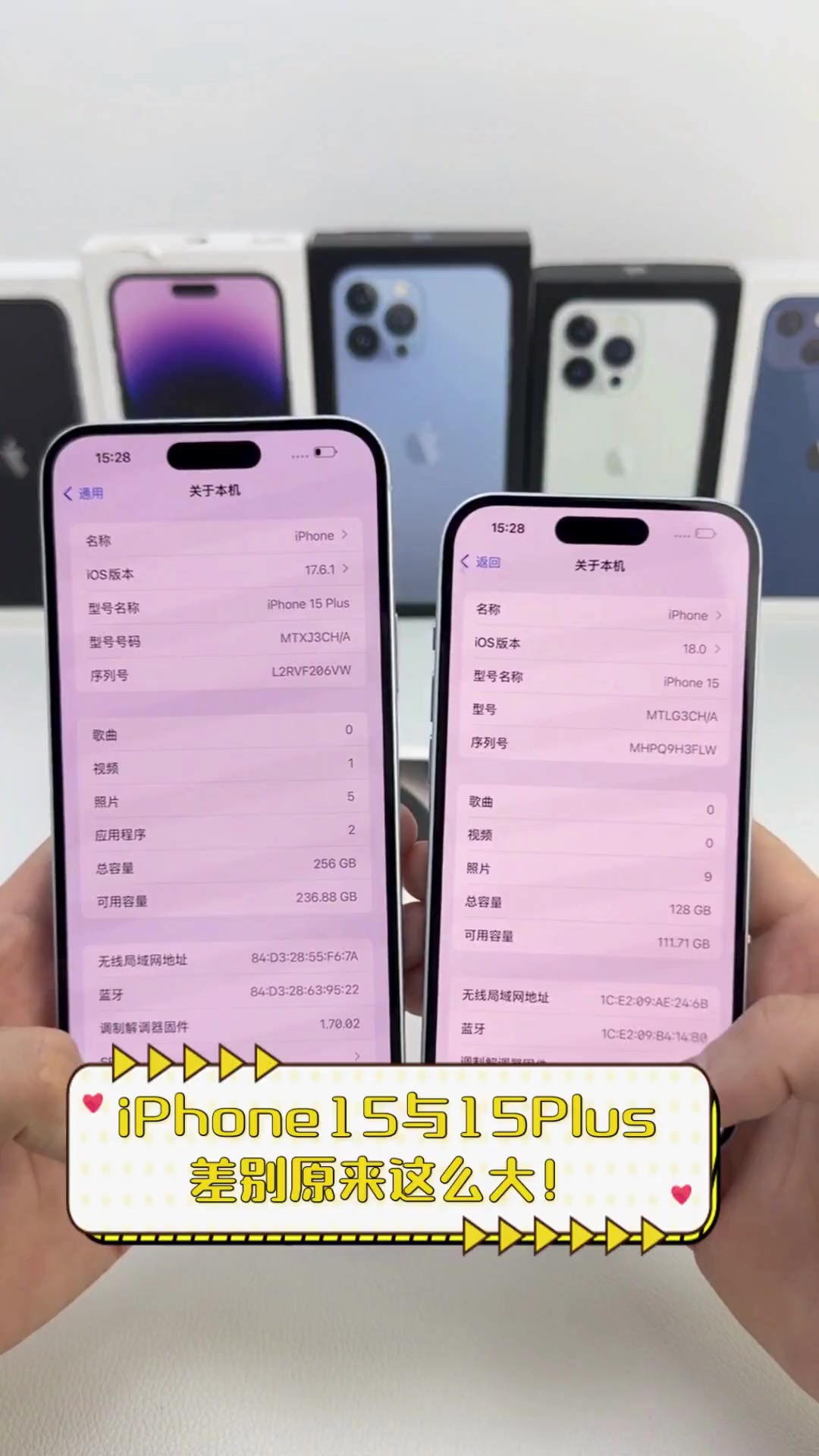 苹果15标准版和普通版(苹果150正式版怎么样)-第3张图片-有道翻译官网