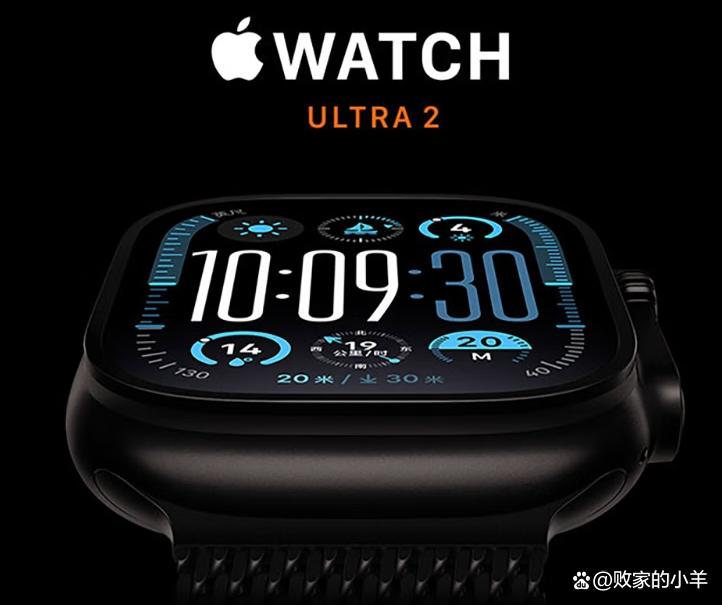 苹果gps版和蜂窝版哪个好(苹果手机蜂窝数据和gps哪个更实用)-第4张图片-有道翻译官网