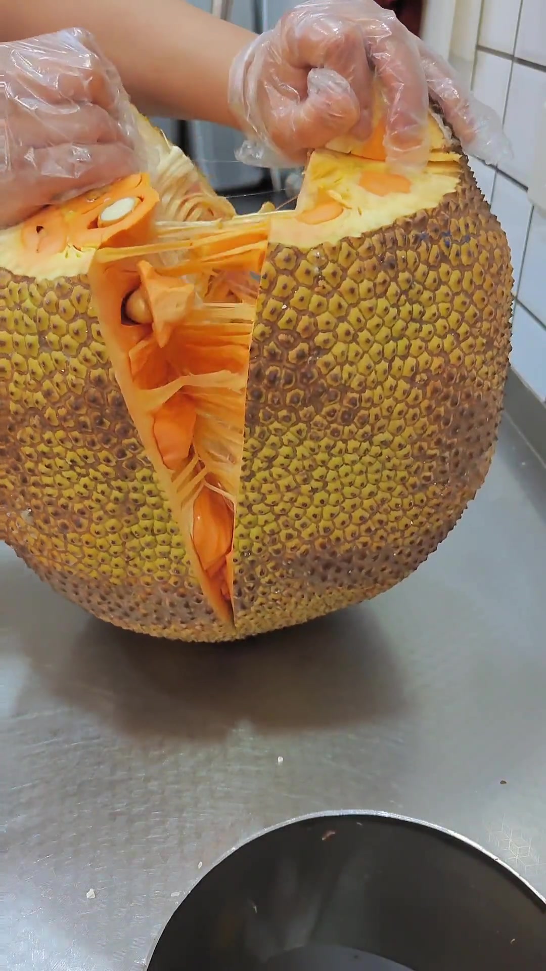 波罗蜜视频破解版苹果版(软天空苹果版下载安装)-第8张图片-有道翻译官网 波罗蜜视频破解版苹果版(软天空苹果版下载安装)-第8张图片-有道翻译官网