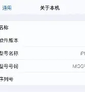 苹果t版和s版怎么区分(t版iphone)-第32张图片-有道翻译官网 苹果t版和s版怎么区分(t版iphone)-第32张图片-有道翻译官网